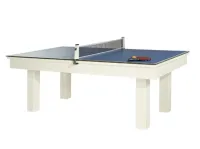 Billard d'extérieur